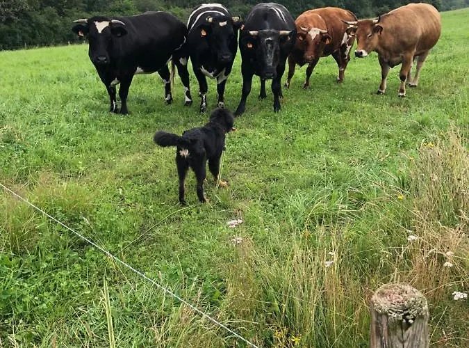 Welwerwoltz Wilwerwiltz