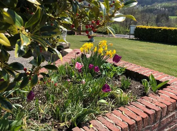 Ferienhaus Welwerwoltz Wilwerwiltz