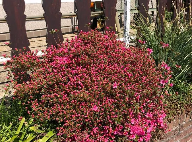 Hébergement de vacances 